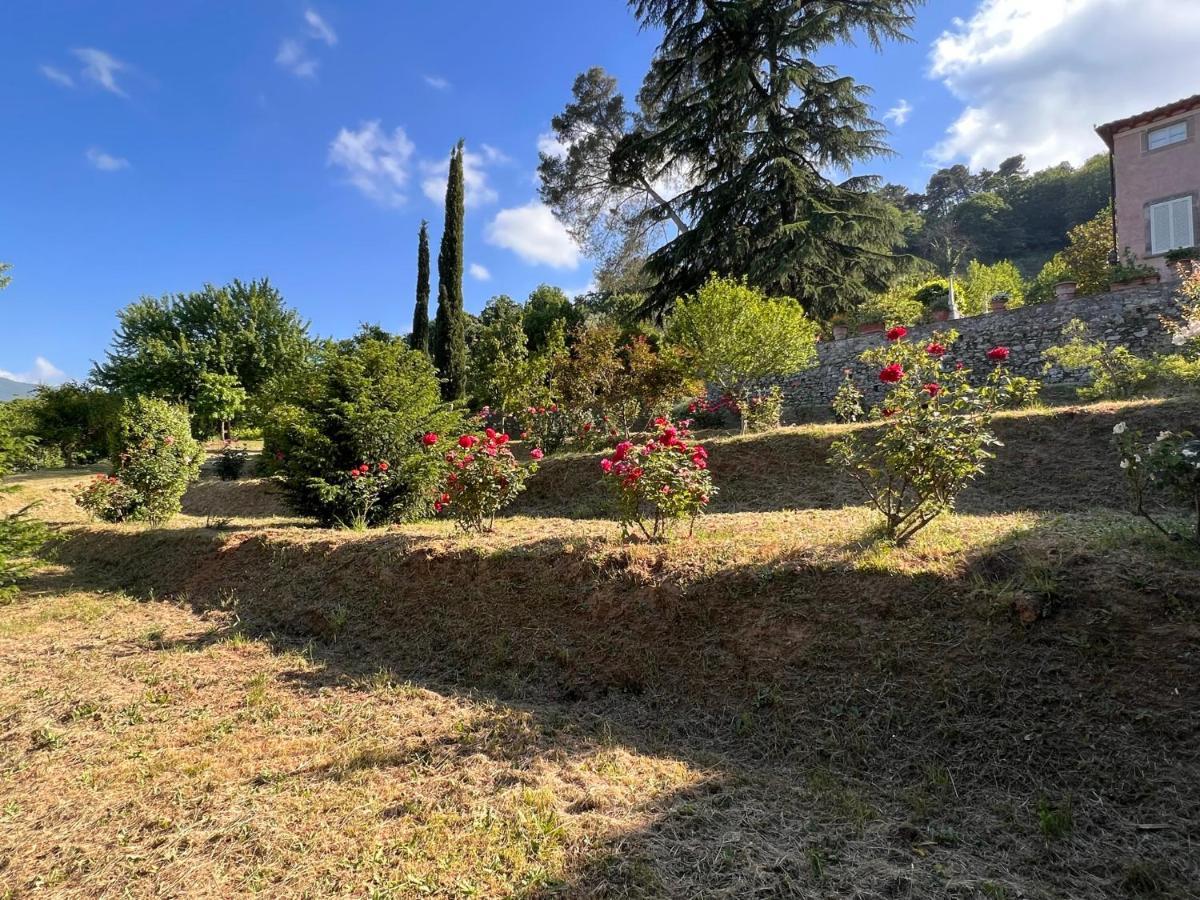 Borgo Al Canto Degli Alberi Lucca Exteriér fotografie