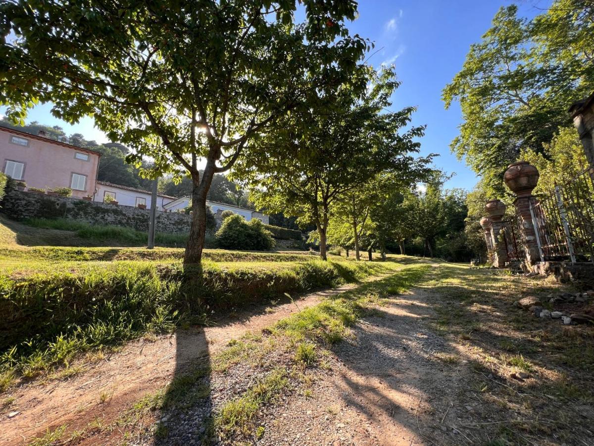 Borgo Al Canto Degli Alberi Lucca Exteriér fotografie