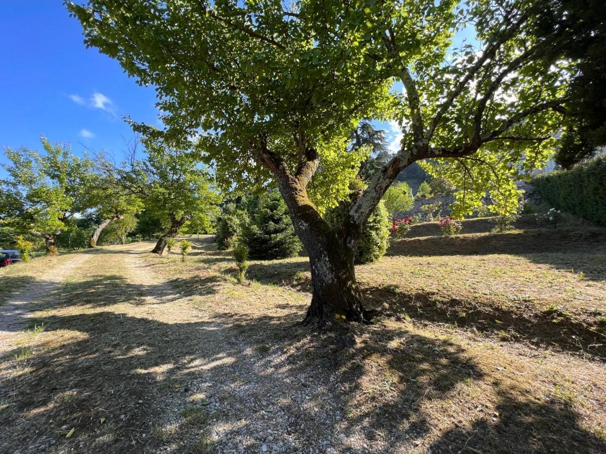 Borgo Al Canto Degli Alberi Lucca Exteriér fotografie